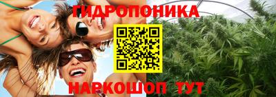 гашик Аргун